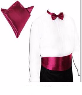 Premium Men's Tuxedo Formal Cummerbund Sets
