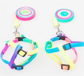 Colorful Pet Rope Harness Traction Rope Chain Lovely Rainbow Colored Dog & Cat Leashes